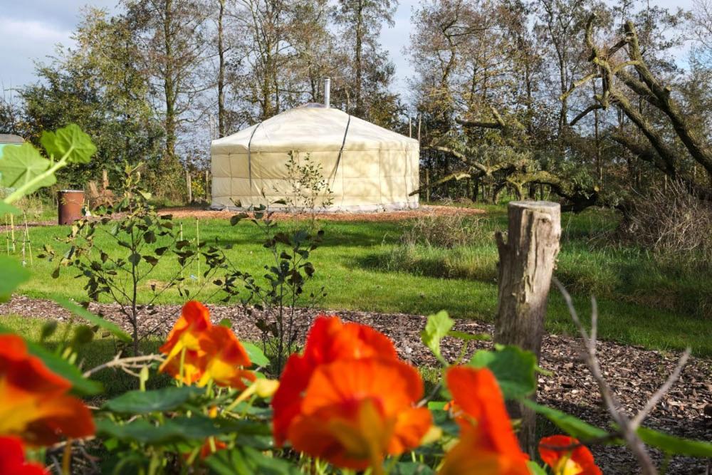 Bed and Breakfast Yurt Klyndobbe Veenwoudsterwal Exterior foto